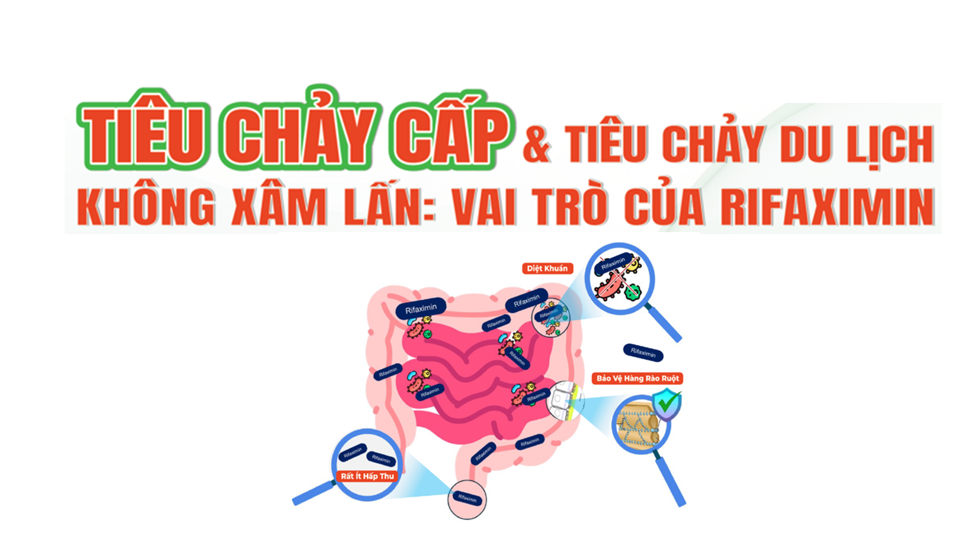 Tiêu chảy du lịch và tiêu chảy cấp không xâm lấn: Vai trò của Rifaximin